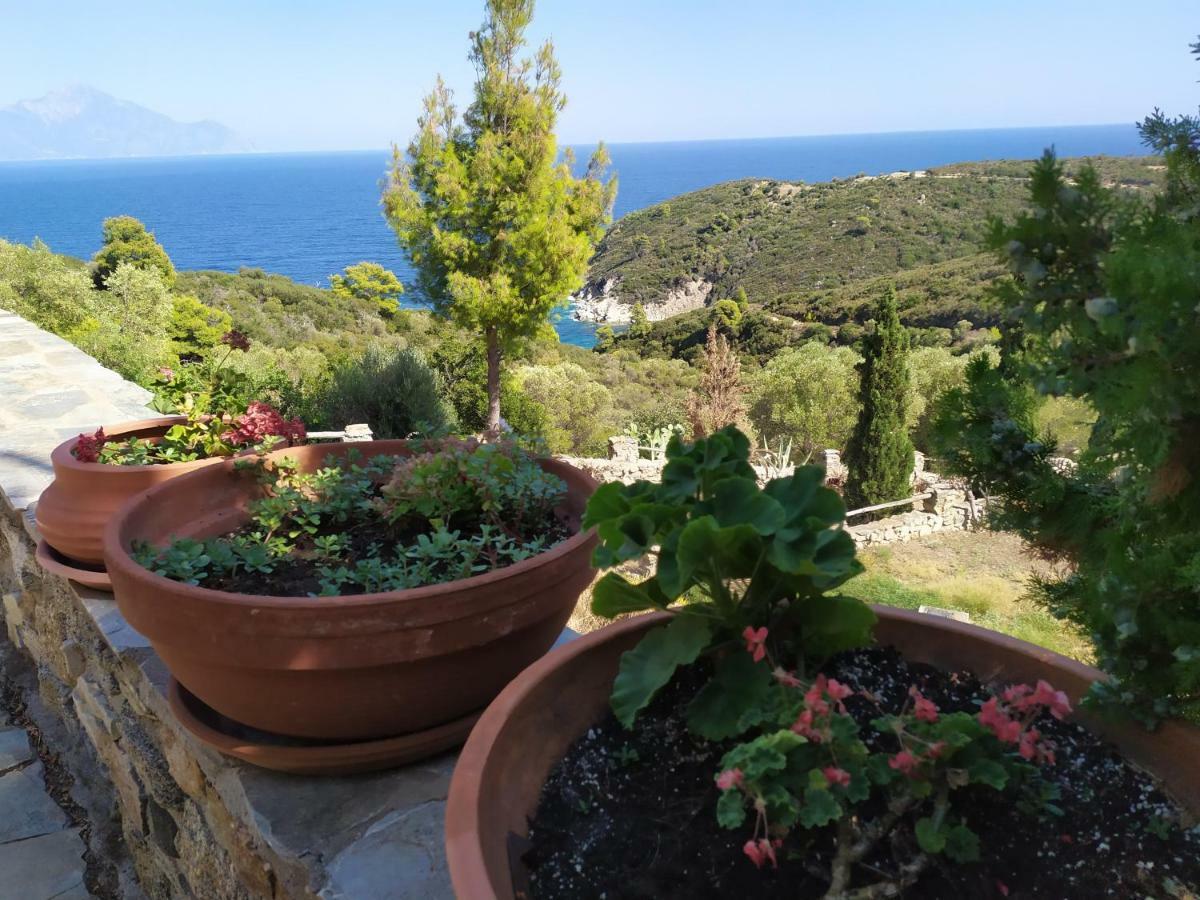 Villa Athos سارتي المظهر الخارجي الصورة